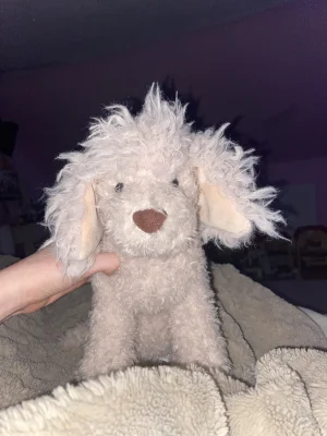 A photo of Georgiana Poodle Jellycat taken by PepsiPoo11