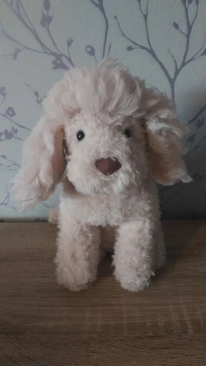 Georgiana Poodle Jellycat photo uploaded by Hope_Collectablez