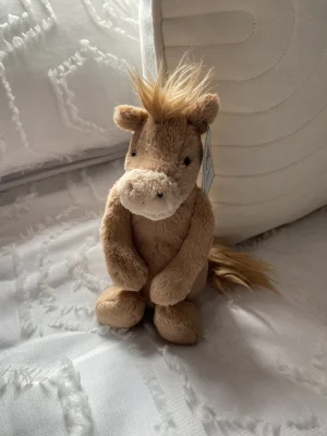 A photo of Bashful Pony - Small Jellycat taken by Jassy_03