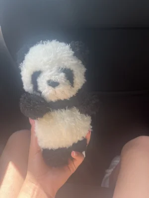 A photo of Little Panda Jellycat taken by Jelly lover 14