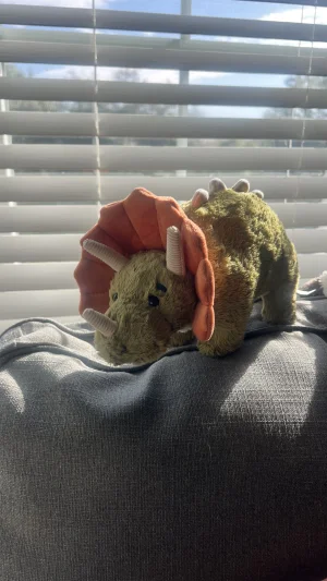 Photo by bronzieandthejellies