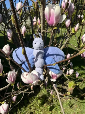 Bluebell Butterfly Jellycat photo uploaded by Amused