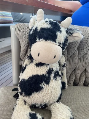 Bashful Calf - Medium Jellycat photo