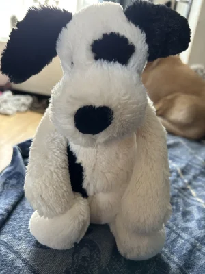 Bashful Black & Cream Puppy - Medium Jellycat photo