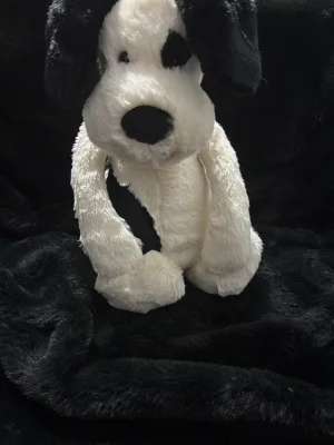 A photo of Bashful Black & Cream Puppy - Medium Jellycat taken by Jellybunnys1984