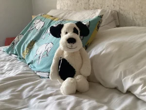 A photo of Bashful Black & Cream Puppy - Medium Jellycat taken by Chloe_jellycat1