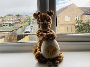 Photo by Chloe_jellycat1