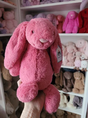 Bashful Cerise Bunny - Medium Jellycat | Jelly Journal