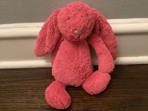 Bashful Cerise Bunny - Medium Jellycat | Jelly Journal