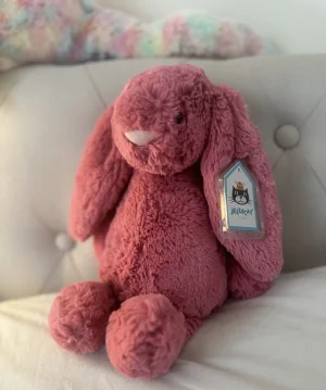 Bashful Cerise Bunny - Medium Jellycat | Jelly Journal