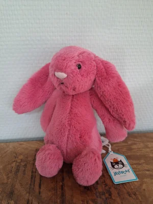 Bashful Cerise Bunny - Small Jellycat | Jelly Journal
