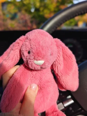  Medium Bashful Cerise Bunny 廃盤 Bashful Cerise Bunny - Medium Jellycat | Jelly Journal