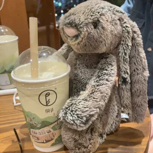 Bashful Woodland Bunny - Medium Jellycat photo uploaded by Tiff