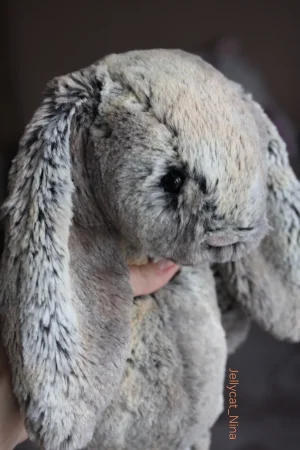 Bashful Woodland Bunny - Medium Jellycat photo uploaded by Jellycat_Nina