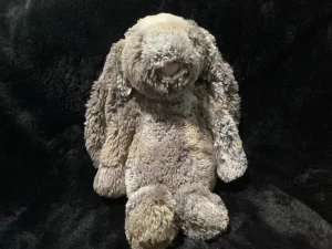 Bashful Woodland Bunny - Medium Jellycat photo uploaded by Jellybunnys1984