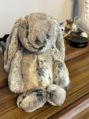 Bashful Woodland Bunny - Medium Jellycat photo