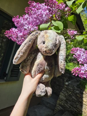 Bashful Woodland Bunny - Medium Jellycat photo uploaded by Eliza23