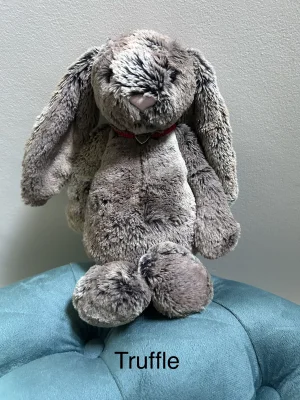 Bashful Woodland Bunny - Medium Jellycat photo
