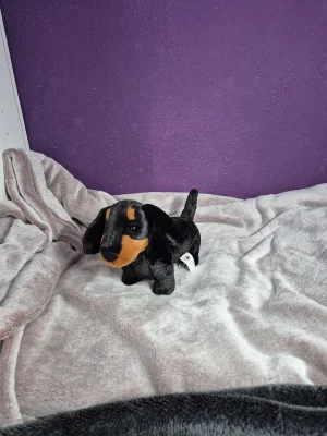 A photo of Freddie Sausage Dog - Small Jellycat taken by ctrlvmoon