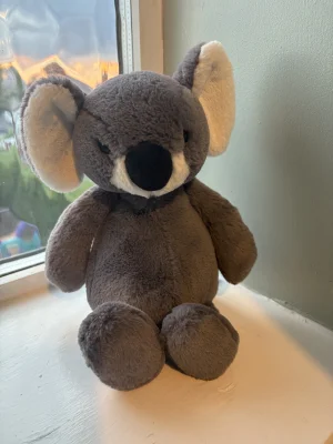 A photo of Bashful Koala Jellycat taken by Natashajade