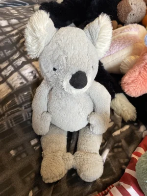 A photo of Bashful Koala Jellycat taken by Jellycat