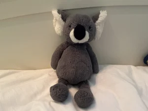 A photo of Bashful Koala Jellycat taken by Jellys2015