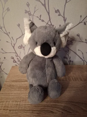 Bashful Koala Jellycat photo