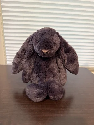 Bashful Inky Bunny - Medium Jellycat | Jelly Journal