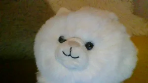 Carissa Persian Cat Jellycat | Jelly Journal