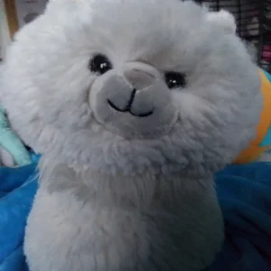 Carissa Persian Cat Jellycat | Jelly Journal