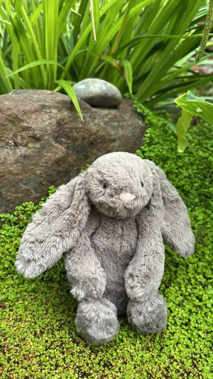 Bashful Truffle Bunny - Small Jellycat | Jelly Journal