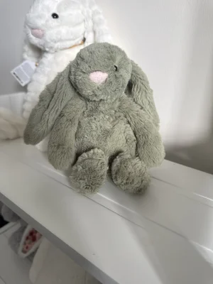 Bashful Fern Bunny - Small Jellycat | Jelly Journal