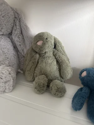 Bashful Fern Bunny - Small Jellycat photo