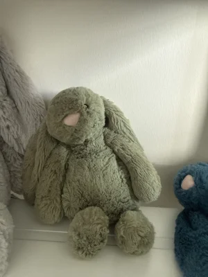 Bashful Fern Bunny - Small Jellycat | Jelly Journal