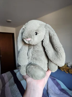 廃盤　新品　 Bashful Fern Bunny Medium Bashful Fern Bunny - Medium Jellycat | Jelly Journal
