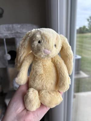 Bashful Lemon Bunny - Small Jellycat | Jelly Journal