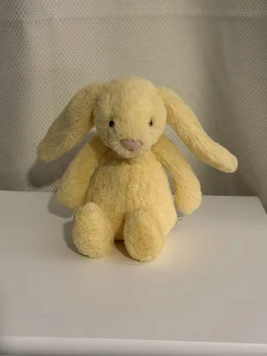 Bashful Lemon Bunny - Small Jellycat | Jelly Journal