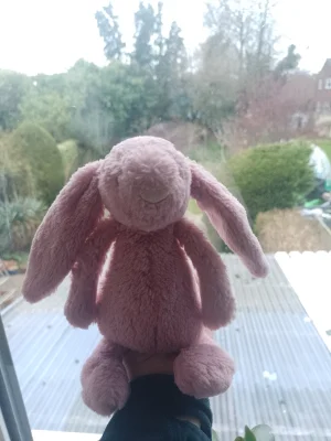 Bashful Tulip Pink Bunny - Small Jellycat | Jelly Journal