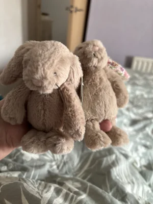 Bashful Beige Bunny - Tiny Jellycat | Jelly Journal