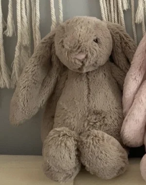 Bashful Beige Bunny - Small Jellycat photo uploaded by Mollysjellys