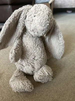 A photo of Bashful Beige Bunny - Small Jellycat taken by Jellyhollyxoxo