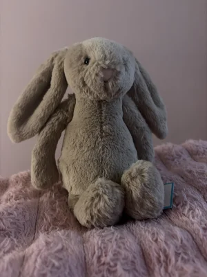 A photo of Bashful Beige Bunny - Small Jellycat taken by Lolliepop_1615