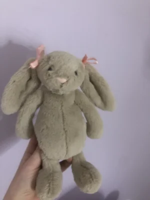 A photo of Bashful Beige Bunny - Small Jellycat taken by Maisielilley