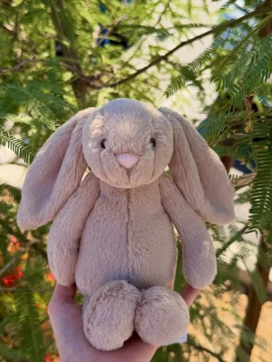 A photo of Bashful Beige Bunny - Small Jellycat taken by jellycatangel