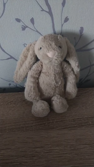 Bashful Beige Bunny - Small Jellycat photo uploaded by Hope_Collectablez