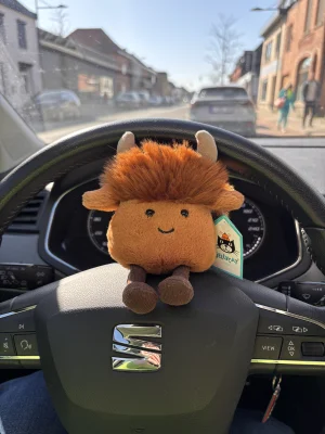 A photo of Amuseabean Highland Cow Jellycat taken by the_jelly_jungle