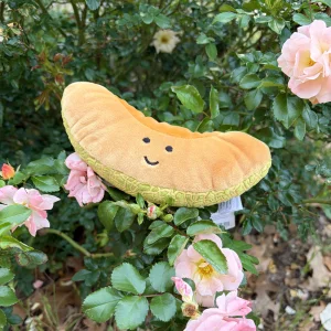 A photo of Fabulous Fruit Melon Jellycat taken by AmberrGolden
