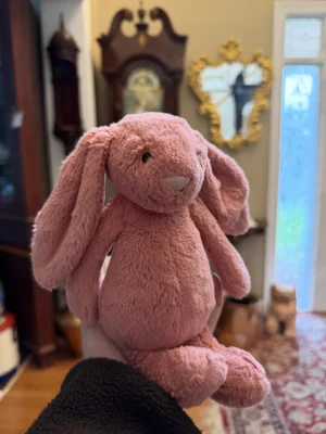 Bashful Sorrel Bunny - Small Jellycat photo