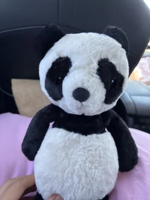 Bashful Panda - Medium Jellycat | Jelly Journal