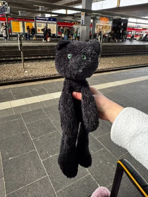 A photo of Casper Cat - Medium Jellycat taken by Swiftiejellycat